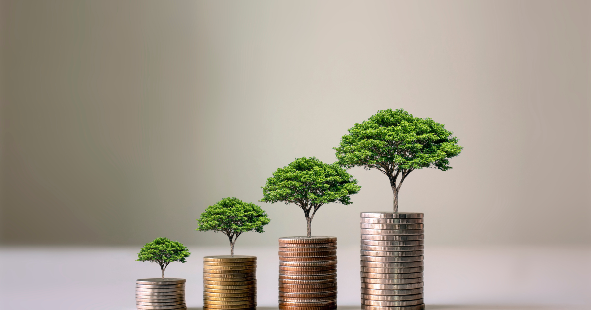 Presqu'ile investissement immobilier